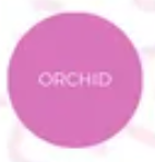 Hanging Fringe Chandeliers